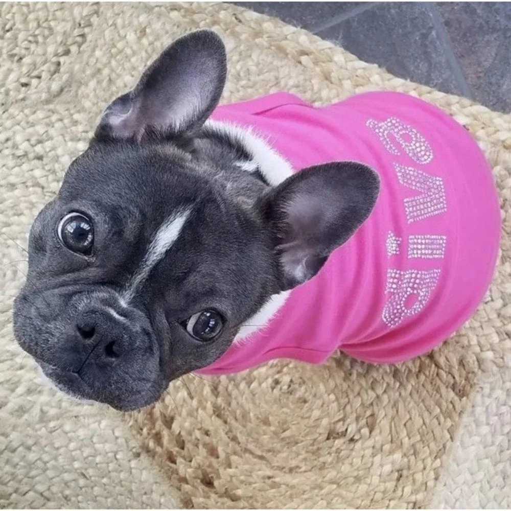 Parisian Pet Dog‎ Diva Outfit Size Medium Bedazzled Fun Girly